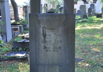 Teplice městský, Omnium, 2020