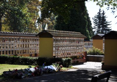 Teplice městský, Omnium, 2020