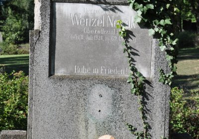 Teplice městský, Omnium, 2020