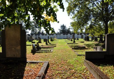 Teplice městský, Omnium, 2020