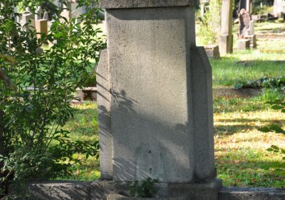 Teplice městský, Omnium, 2020