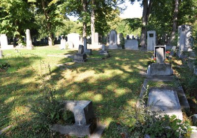 Teplice městský, Omnium, 2020