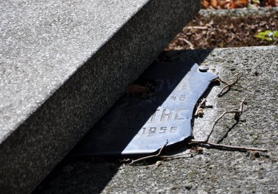 Teplice městský, Omnium, 2020