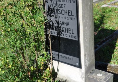 Teplice městský, Omnium, 2020