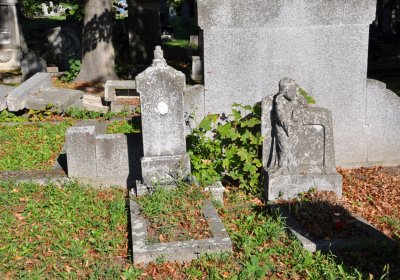 Teplice městský, Omnium, 2020