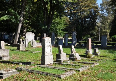 Teplice městský, Omnium, 2020