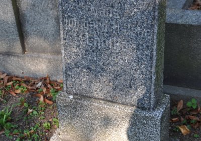 Teplice městský, Omnium, 2020