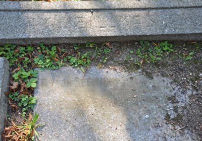 Teplice městský, Omnium, 2020