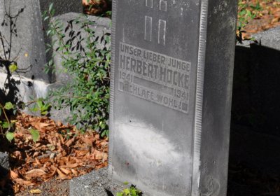 Teplice městský, Omnium, 2020