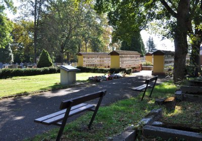 Teplice městský, Omnium, 2020