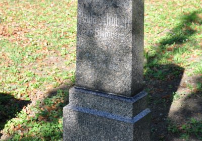 Teplice městský, Omnium, 2020