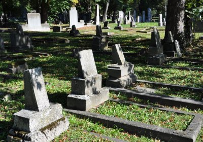 Teplice městský, Omnium, 2020