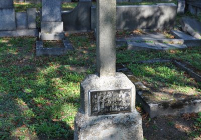 Teplice městský, Omnium, 2020