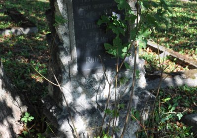 Teplice městský, Omnium, 2020