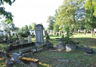 Teplice městský, Omnium, 2020