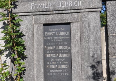 Teplice městský, Omnium, 2020