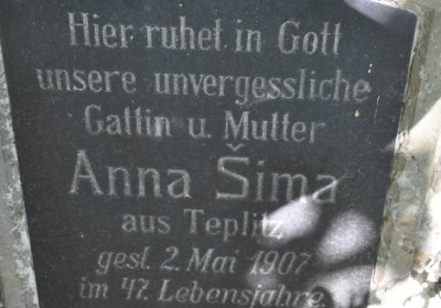 Teplice městský, Omnium, 2020