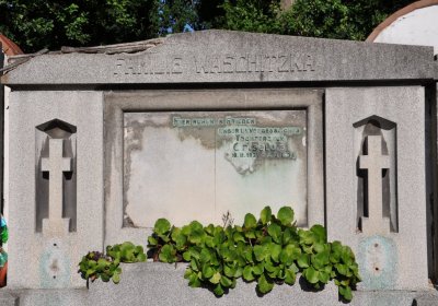 Teplice městský, Omnium, 2020