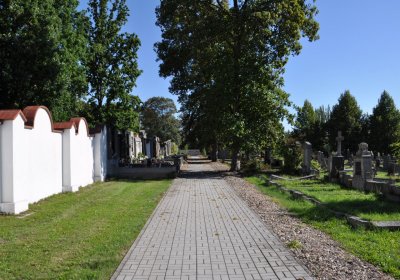 Teplice městský, Omnium, 2020