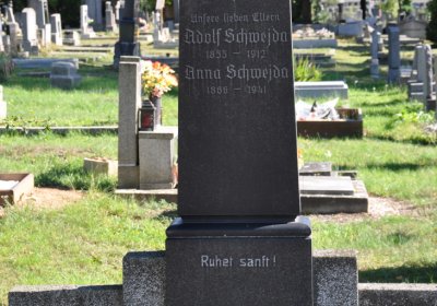 Teplice městský, Omnium, 2020