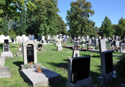 Teplice městský, Omnium, 2020