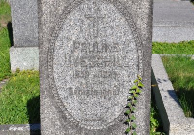 Teplice městský, Omnium, 2020