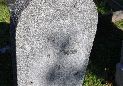 Teplice městský, Omnium, 2020