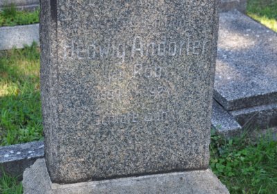 Teplice, Omnium, 2020