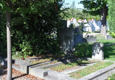 Teplice, Omnium, 2020