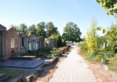 Teplice městský, Omnium, 2020