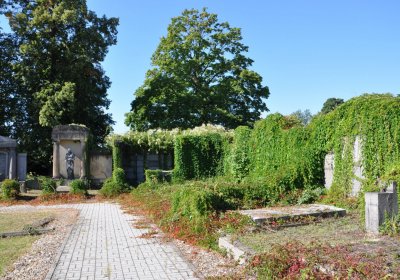 Teplice městský, Omnium, 2020