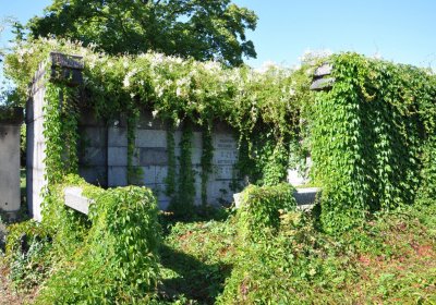 Teplice městský, Omnium, 2020