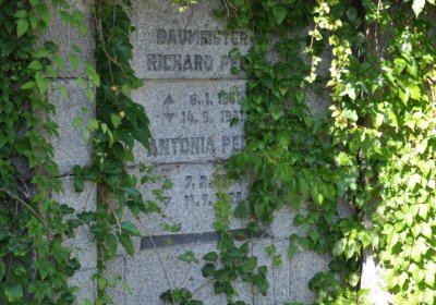 Teplice městský, Omnium, 2020