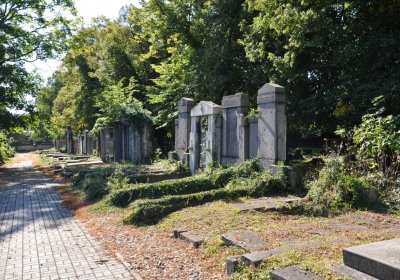 Teplice městský, Omnium, 2020