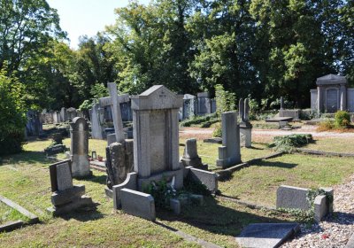 Teplice městský, Omnium, 2020