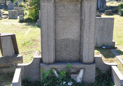 Teplice městský, Omnium, 2020