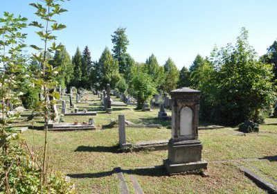 Teplice městský, Omnium, 2020