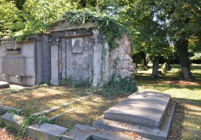 Teplice městský, Omnium, 2020