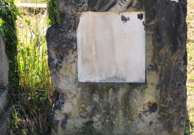 Teplice městský, Omnium, 2020