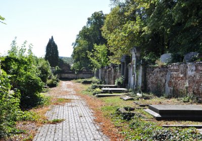 Teplice městský, Omnium, 2020