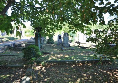 Teplice městský, Omnium, 2020