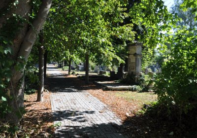 Teplice městský, Omnium, 2020