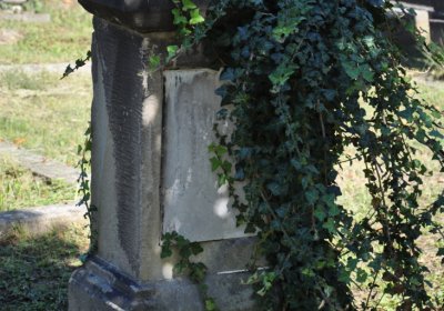 Teplice městský, Omnium, 2020