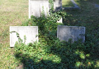 Teplice městský, Omnium, 2020