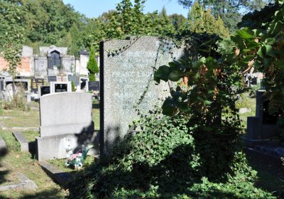 Teplice městský, Omnium, 2020