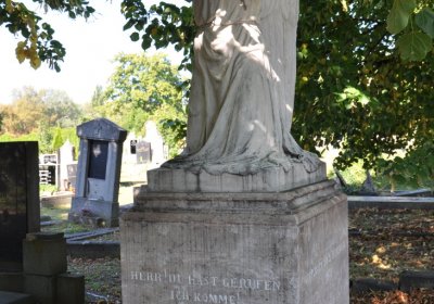 Teplice městský, Omnium, 2020