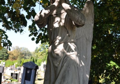 Teplice městský, Omnium, 2020