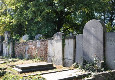 Teplice městský, Omnium, 2020