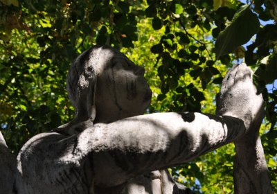 Teplice městský, Omnium, 2020