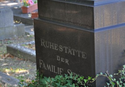 Teplice městský, Omnium, 2020